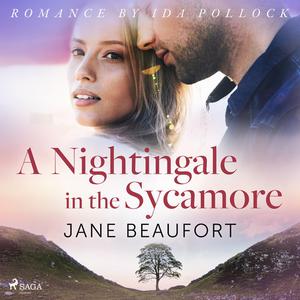 A Nightingale in the Sycamore by Jane Beaufort