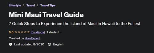Mini Maui Travel Guide