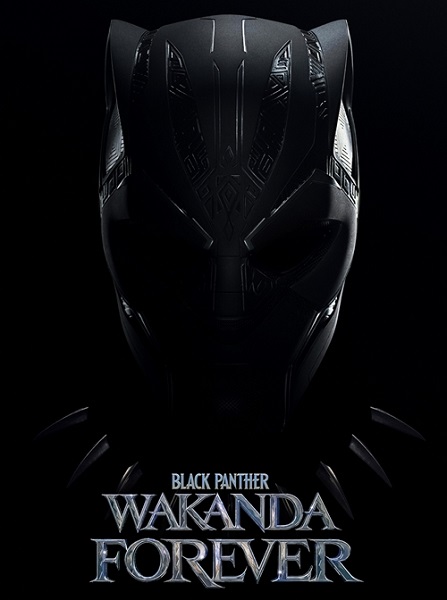Чёрная Пантера: Ваканда навсегда / Black Panther: Wakanda Forever (2022) BDRip-HEVC 2160p | 4K | HDR | L2, D