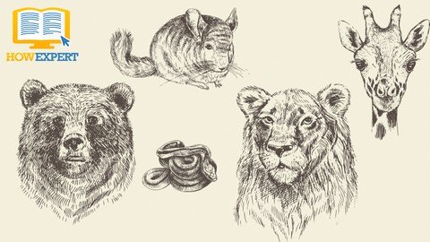 How To Draw Animals 2020