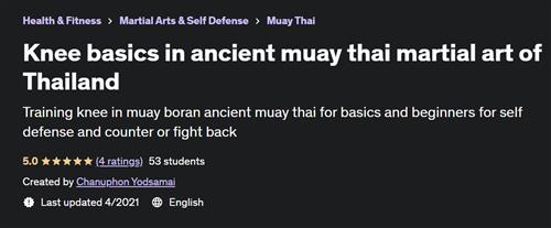 Knee basics in ancient muay thai martial art of Thailand