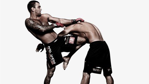 How To Learn Mixed Martial Arts