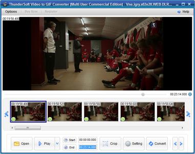 ThunderSoft Video to GIF Converter 4.0