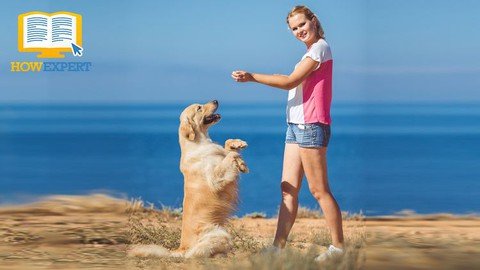 Labrador Retriever Dog Raising & Training