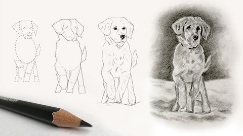 How To Draw A Dog Step By Step - Beginner Drawing Course