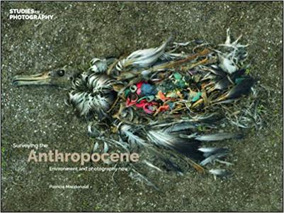 Surveying the Anthropocene Environment and Photography Now