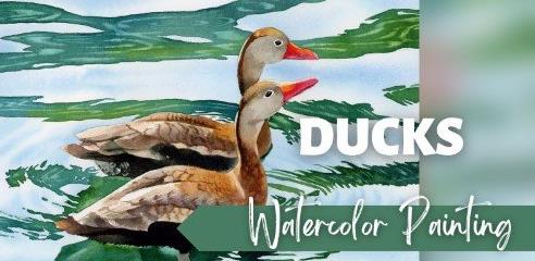 How to Paint Ducks and Water Ripples in Watercolor