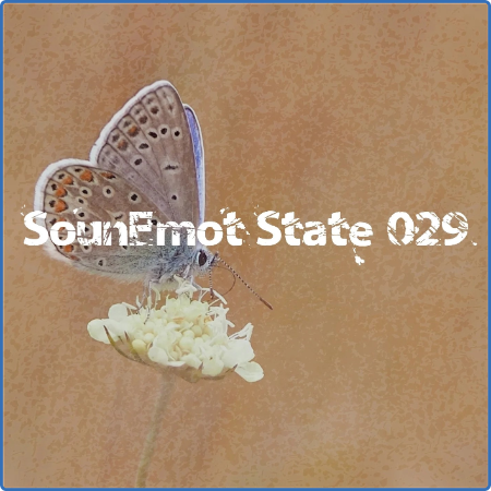 VA - SounEmot State 029 (2023) MP3