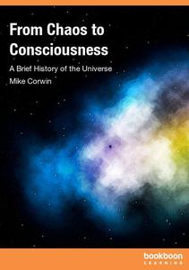 From Chaos to Consciousness A Brief History of the Universe