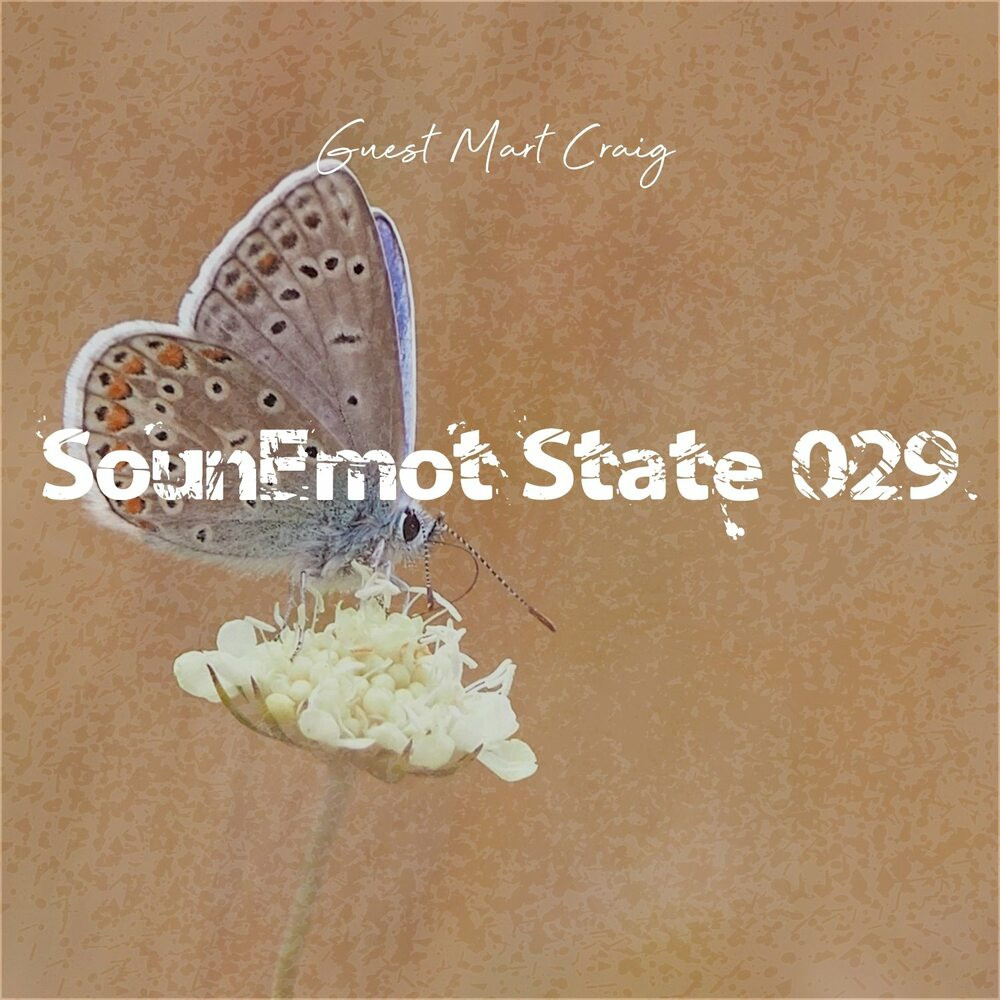 Sounemot State 029 (2023)