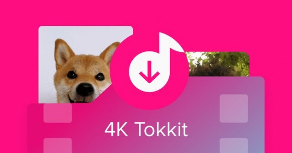 4K Tokkit Pro 2.0.0.0650 RePack & Portable by Dodakaedr