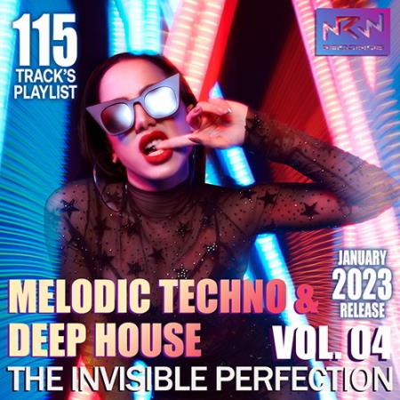 Картинка The Invisible Perfection Vol. 04 (2023)