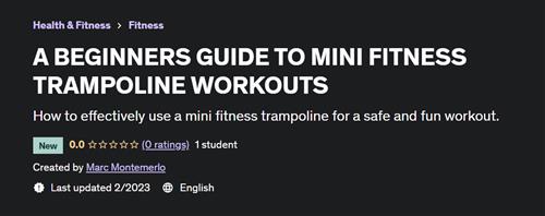 A Beginners Guide To Mini Fitness Trampoline Workouts
