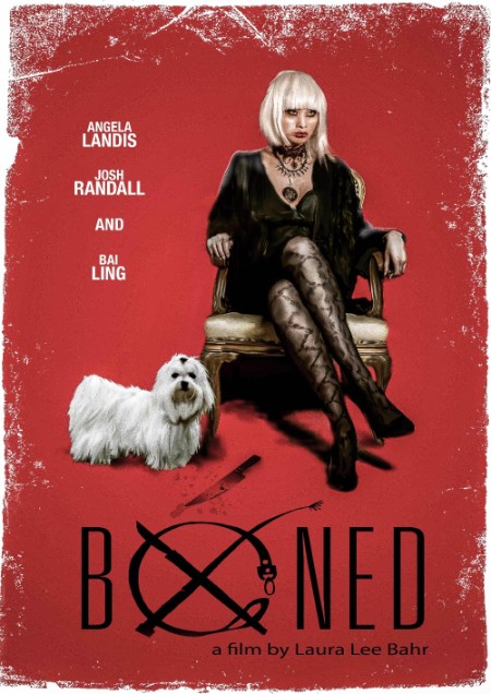 Boned 2015 1080p BluRay x265-RARBG