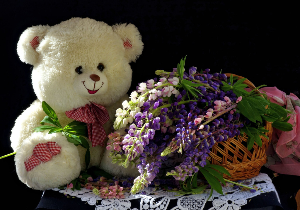 My teddy bear - Page 40 26d06a35e25148efcfcba1bff64eda2f