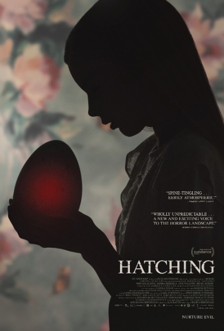 Hatching - La Forma Del Male (2022) FullHD 1080p  E-AC3 FIN DTS+AC3 Subs