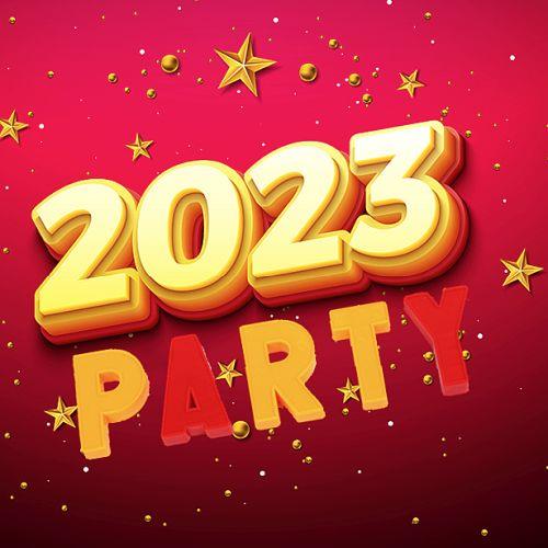 Party 2023 More In The Year (2023)
