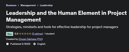 Leadership and the Human Element in Project Management