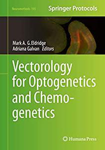 Vectorology for Optogenetics and Chemogenetics