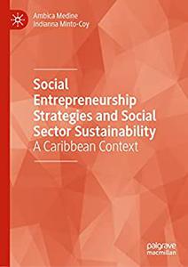 Social Entrepreneurship Strategies and Social Sector Sustainability