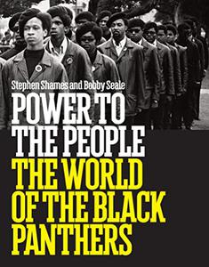 Power to the People The World of the Black Panthers