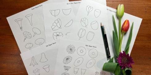 How to Draw Flowers An Easy Step-by-Step Guide