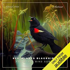 Red-winged Blackbird and Other Bird Songs Ambient Soundscape for Mindfulness and Relaxation [Audiobook]