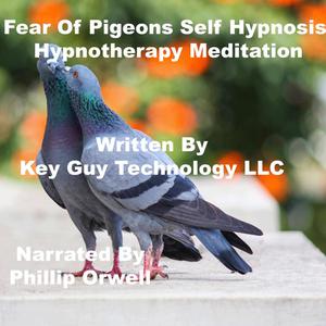Fear Of Pigeons Self Hypnosis Hypnotherapy Meditation by Key Guy Technology LLC