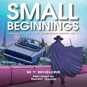 Small Beginnings by M.T. McGuire