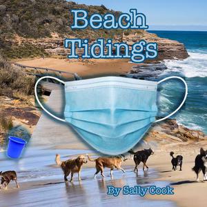 Beach Tidings by Sally Cook