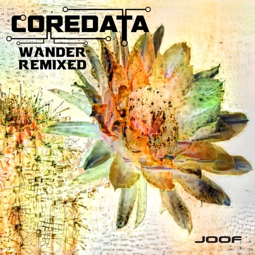 Oracle, Coredata - Wander Remixed [JOOF Recordings]