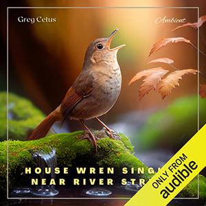 House Wren Singing Near River Stream Atmospheric Audio for Enlightenment [Audiobook]