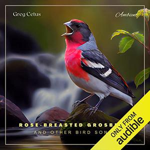 Rose-Breasted Grosbeak and Other Bird Songs Atmospheric Audio for Productivity and Focus [Audiobook]