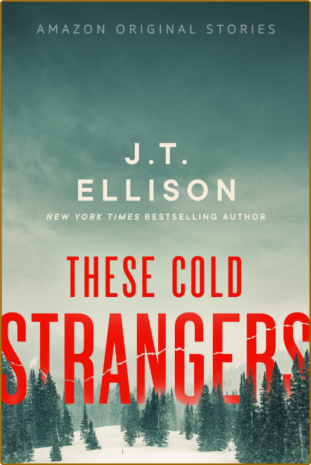 These Cold Strangers - J T  Ellison