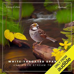 White-throated Sparrow and River Stream Trickle Morning Birdsongs and Water Streams for Peace and Relaxation [Audiobook]