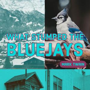 What Stumped the Blue Jays by Mark Twain