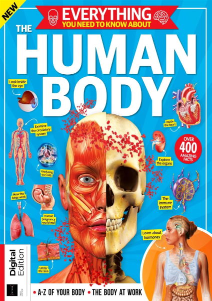 Картинка How it works - Everything You Need To Know About The Human Body, 1st Edition 2023