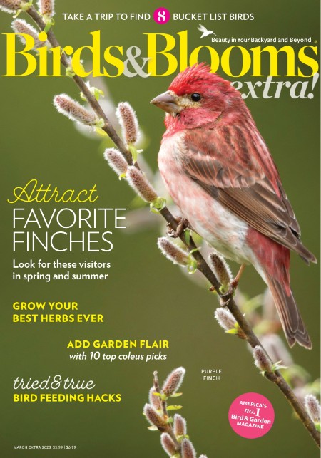 Birds and Blooms Extra - March 2023