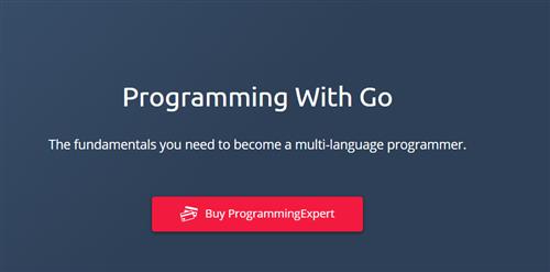 ProgrammingExpert.io – Programming With Go