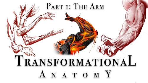 Gumroad - Transformational Anatomy Part 1 The Arm - Steven Zapata