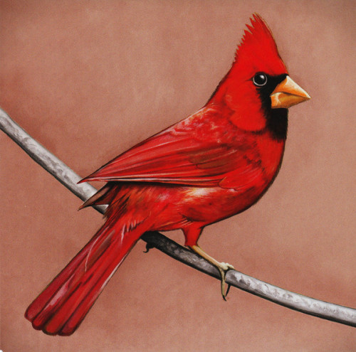 Alexisonfire - Old Crows/Young Cardinals (2009) (LOSSLESS)