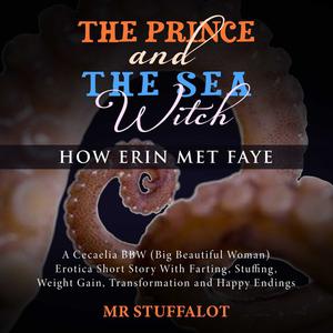 Prince and the Sea Witch, The How Erin Met Faye by Stuffalot