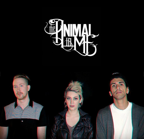 The Animal In Me - Covers (2013 - 2022)