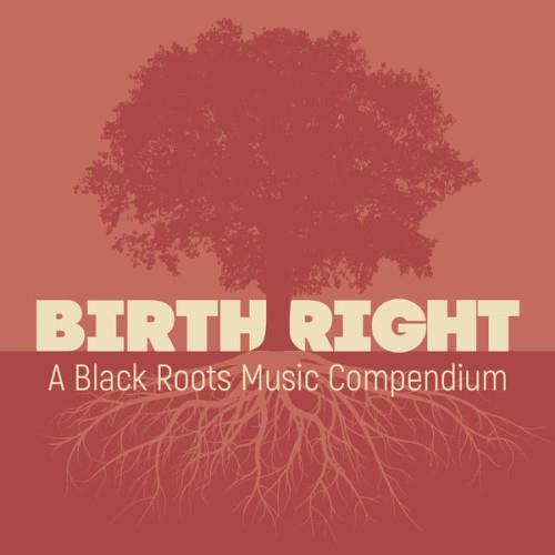 Birthright A Black Roots Music Compendium (2023) FLAC