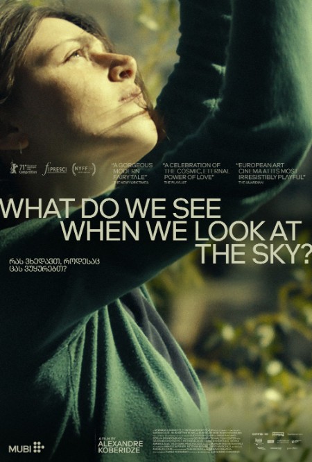 What Do We See When We Look at The Sky 2021 DVDRip x264-BiPOLAR