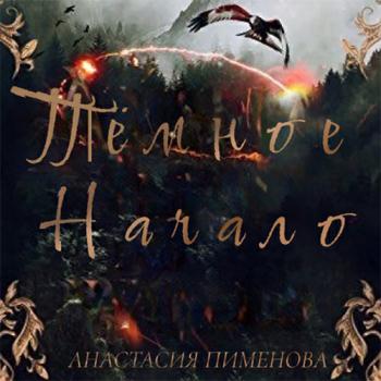 постер к Пименова Анастасия - Тёмное начало (Аудиокнига)