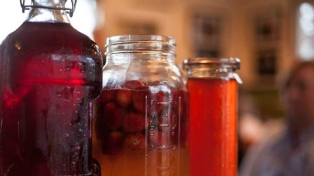 Kombucha Basics