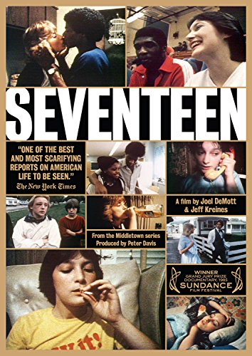 Seventeen 1983 DVDRip x264-BiPOLAR