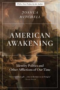American Awakening Identity Politics and Other Afflictions of Our Time