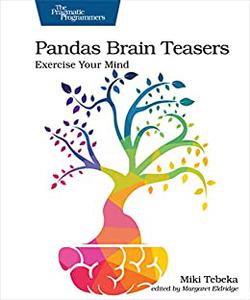 Pandas Brain Teasers Exercise Your Mind